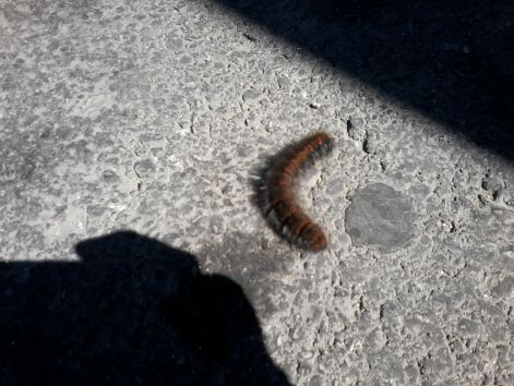 20140829_110905.jpg