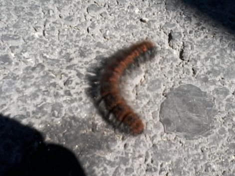 20140829_110909.jpg