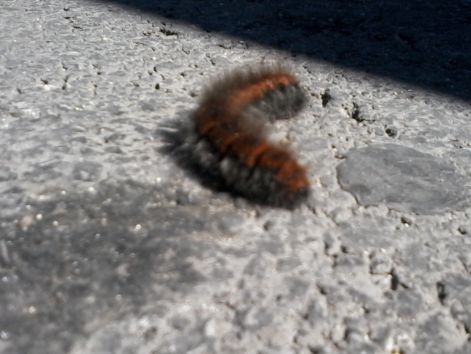 20140829_110918.jpg