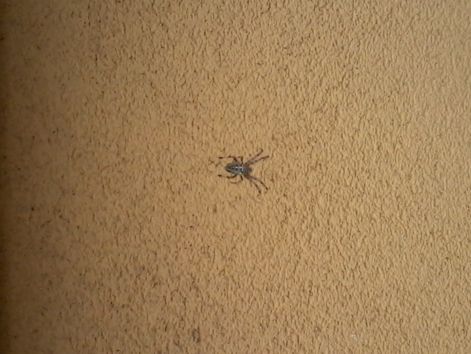 20140903_144328.jpg