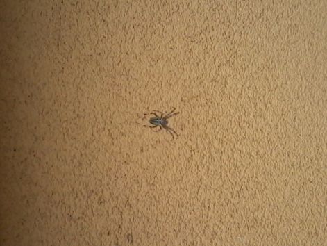 20140903_144330.jpg
