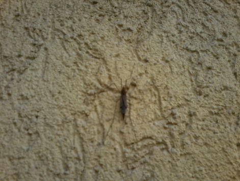20140904_125441.jpg