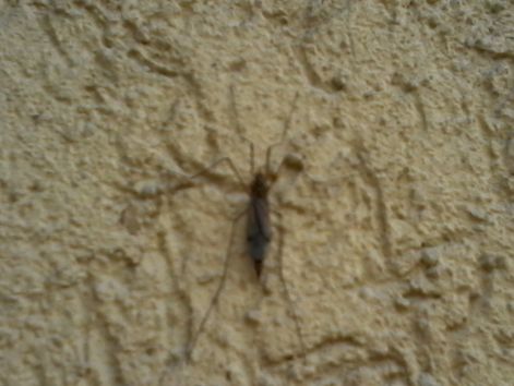 20140904_125444.jpg