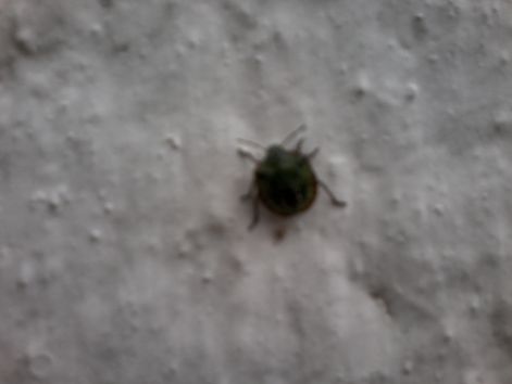 20140905_143318.jpg
