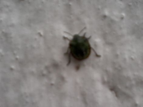 20140905_143322.jpg