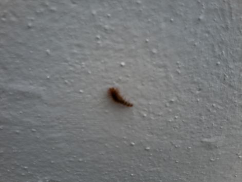 20140905_153230.jpg