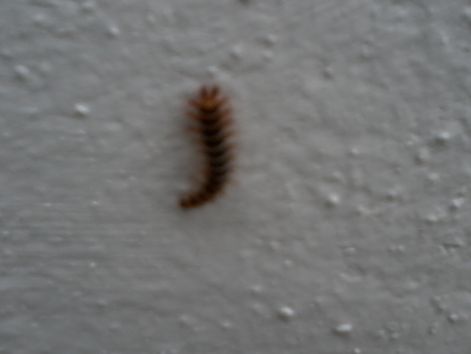 20140905_153234.jpg