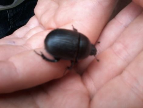 20140907_123454.jpg