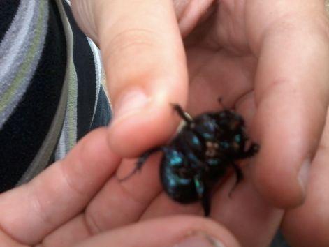 20140907_123518.jpg