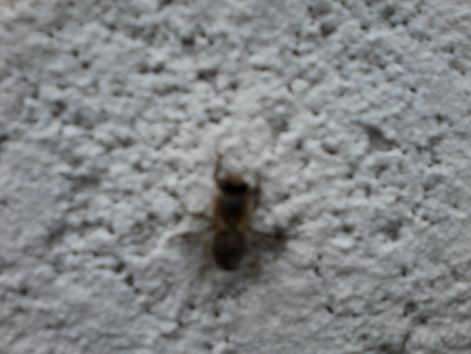 20140907_143755.jpg