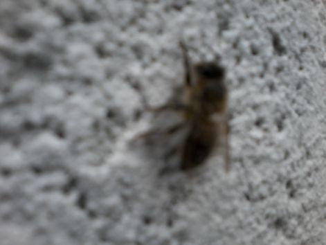 20140907_143758.jpg