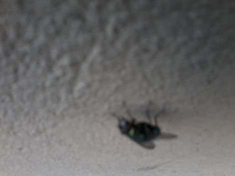 20140908_125634.jpg