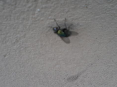 20140908_125637.jpg