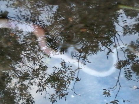 20140913_183440_resized.jpg