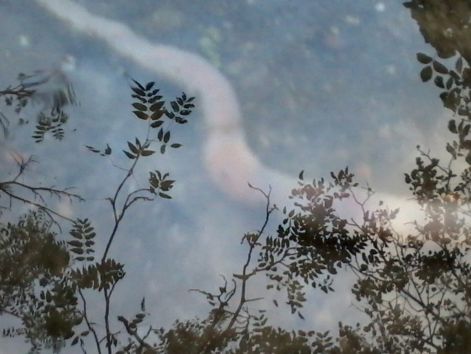 20140913_183443_resized.jpg