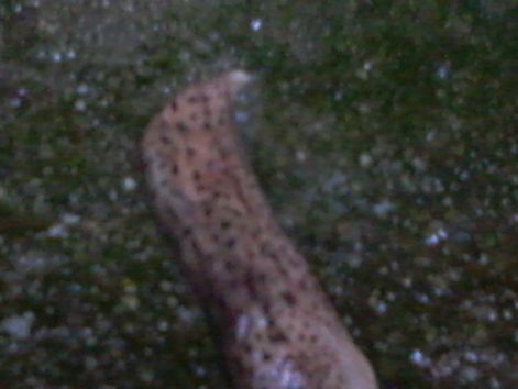 20140913_183614_resized.jpg