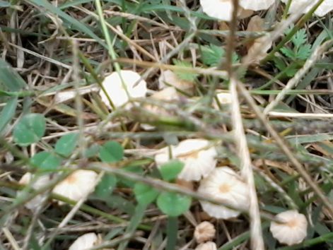 20140914_121539.jpg