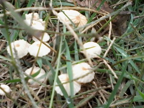 20140914_121545.jpg