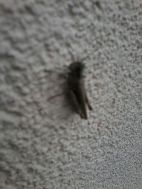 20140916_172809_resized.jpg