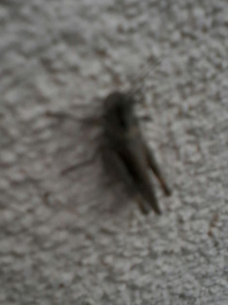 20140916_172812_resized.jpg