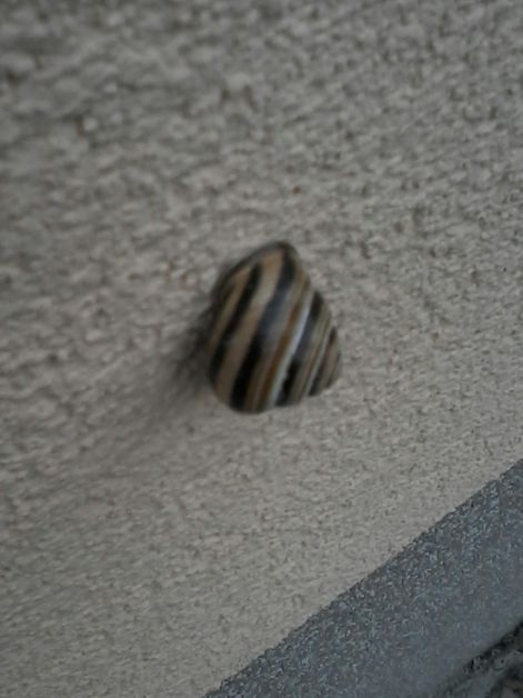 20140916_172815_resized.jpg