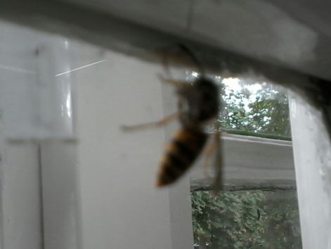 20140917_094822_resized.jpg
