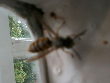 20140917_094825_resized.jpg