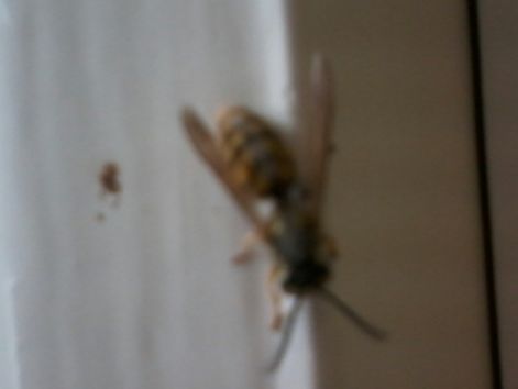 20140917_094828_resized.jpg