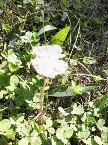 20140918_124547_resized.jpg