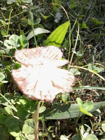 20140918_124549_resized.jpg