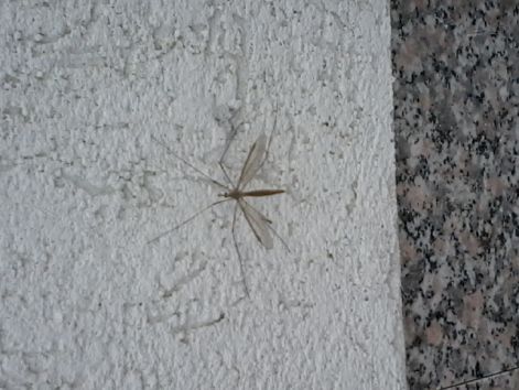 20140919_171825.jpg