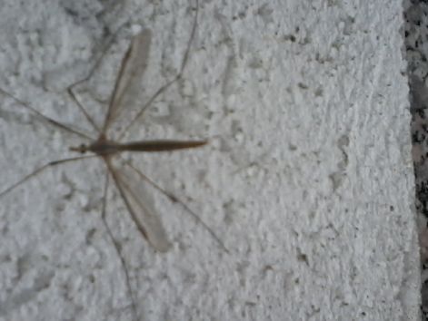 20140919_171828.jpg