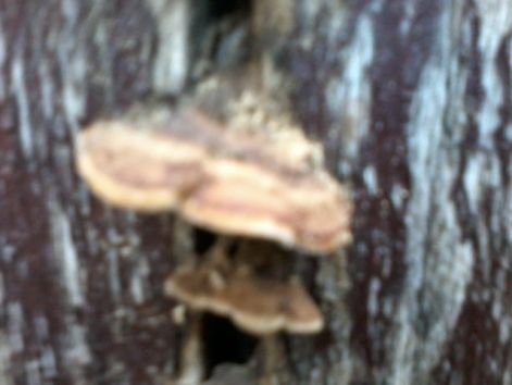 20140919_183042.jpg