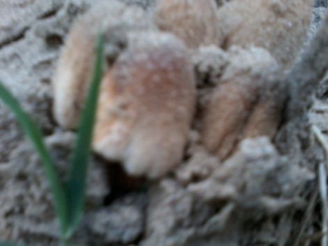 20140919_183101.jpg