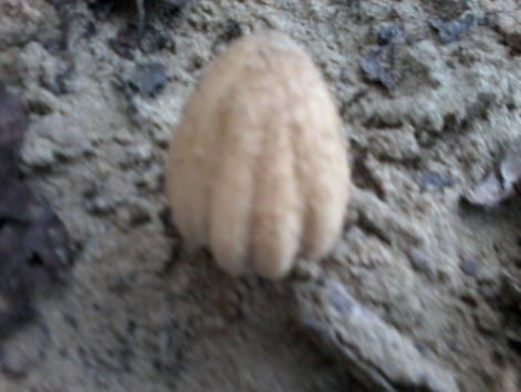 20140919_183208.jpg