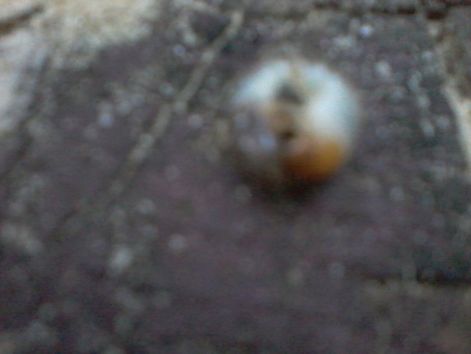 20140919_184922.jpg