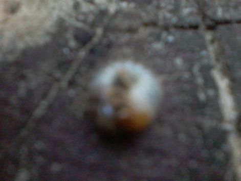 20140919_184925.jpg